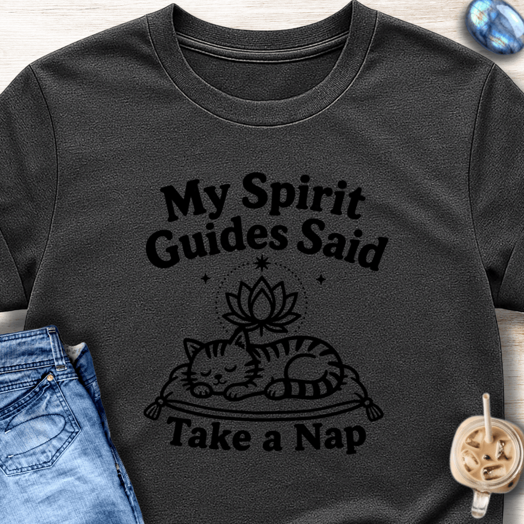 My Spirit Guides Said Take a Nap T-Shirt