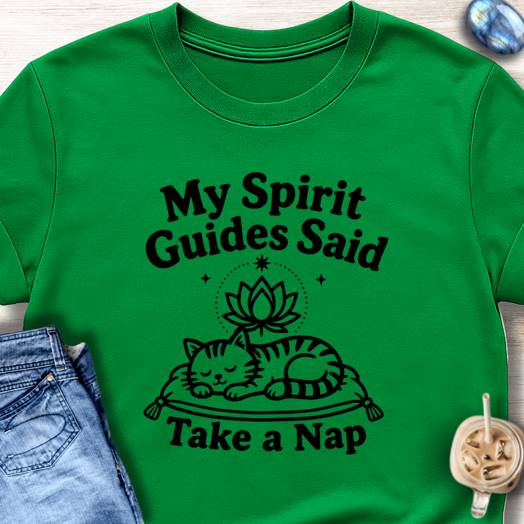 My Spirit Guides Said Take a Nap T-Shirt